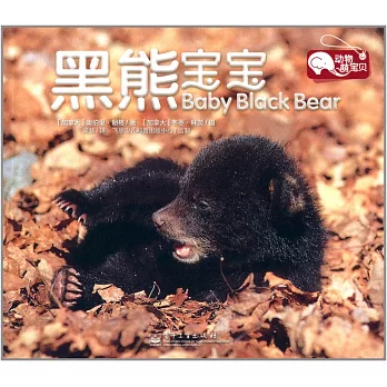 動物萌寶貝：黑熊寶寶