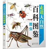 走進大自然百科圖鑒：昆蟲