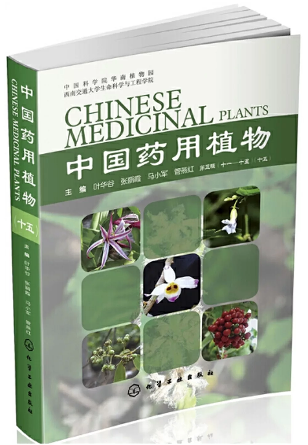 中國藥用植物（十五）