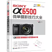 SONY 6500微單攝影技巧大全