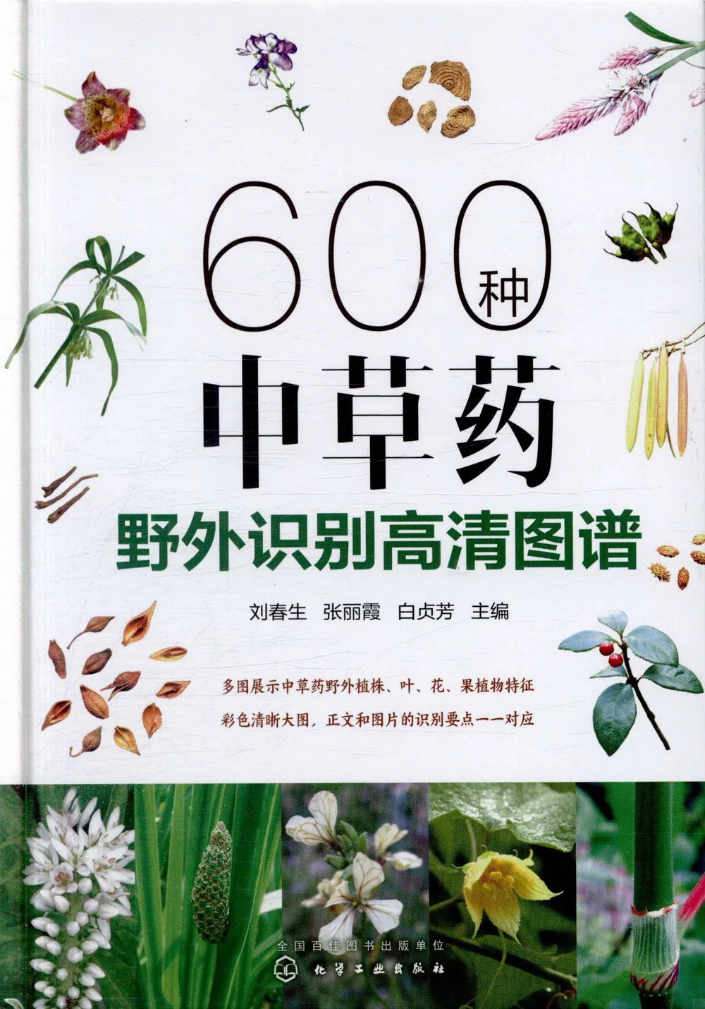 600種中草藥野外識別高清圖譜