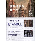 伊斯坦布爾的一年