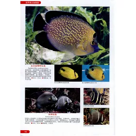 博客來 世界海水魚圖鑒 600種海水魚飼養與鑒賞圖典 博客來 世界海水魚圖鑒 600種海水魚飼養與鑒賞圖典