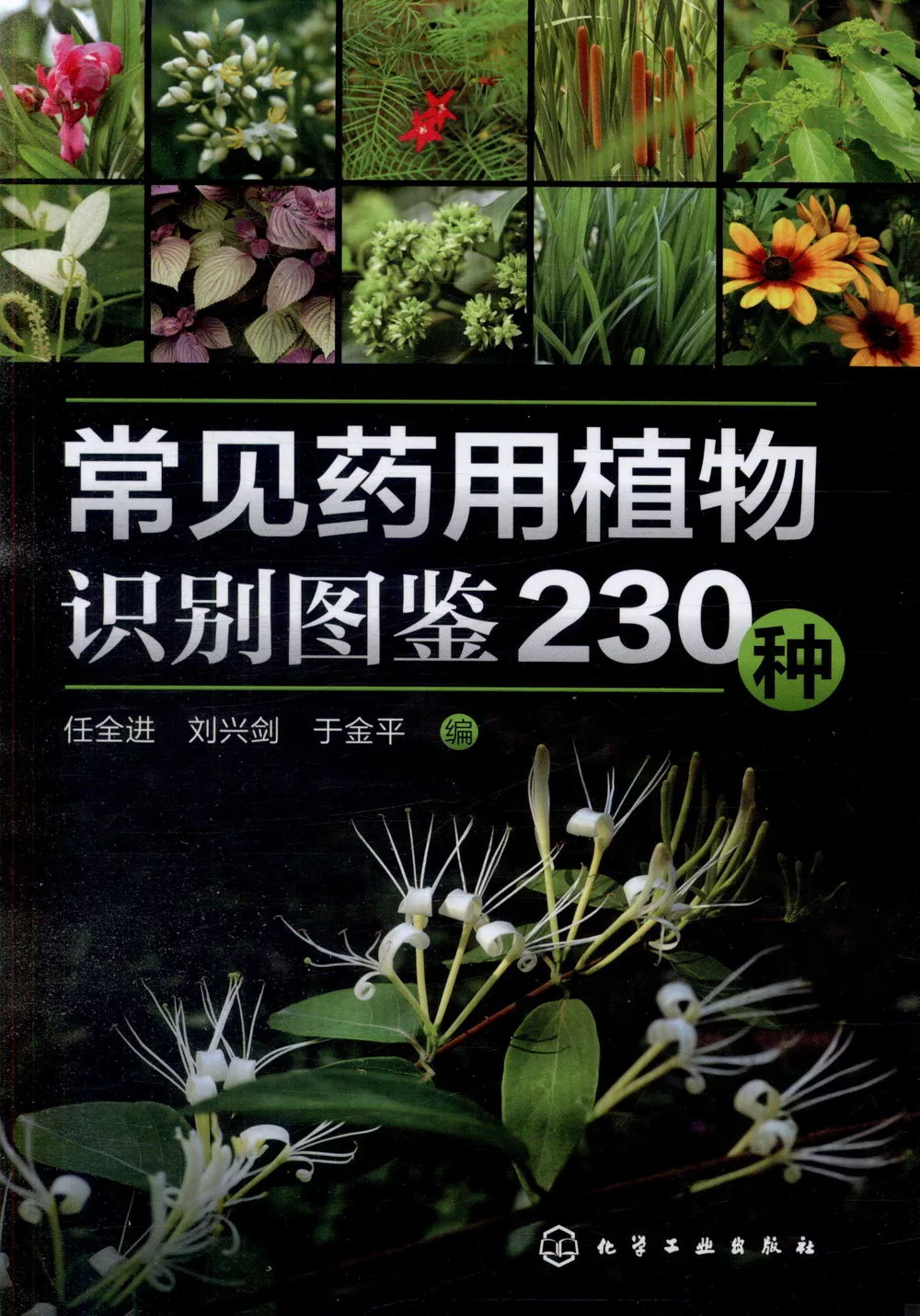 常見藥用植物識別圖鑒230種