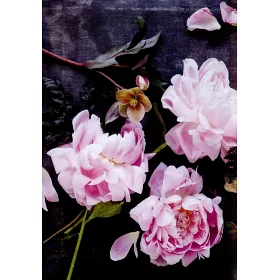 博客來 花工坊 白宮花藝大師的自然風精品課 博客來 花工坊 白宮花藝大師的自然風精品課