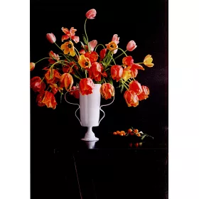 博客來 花工坊 白宮花藝大師的自然風精品課 博客來 花工坊 白宮花藝大師的自然風精品課