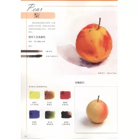 博客來 水色斑斕 4 花卉及靜物水彩基礎入門教程 視頻教學版