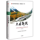 大國新路：中國道路的歷史和未來