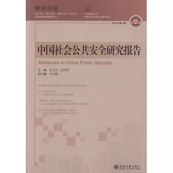 中國社會公共安全研究報告（第12輯）