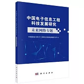 中國電子信息工程科技發展研究：未來網路專題