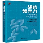 戰略領導力：中國企業運作的理念、過程與效果