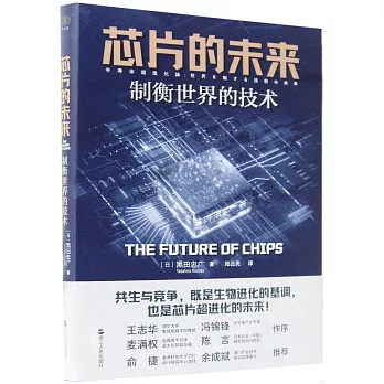 芯片的未來：制衡世界的技術
