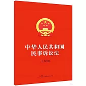 中華人民共和國民事訴訟法(大字版)