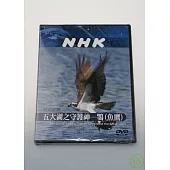 NHK 地球家族-五大湖之守護神-鶚(魚鷹) DVD