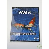 NHK 彩虹錦鯉-世界最美麗的魚 DVD
