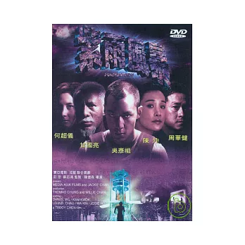 紫雨風暴 DVD