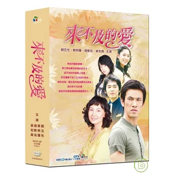 來不及的愛01-20 DVD