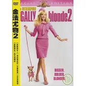 金法尤物 2 DVD