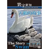天鵝的故事【春歸.生育.誕生】-54 DVD