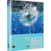 直擊植物的秘密生活 (藍光BD)