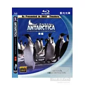 南極 (藍光BD)