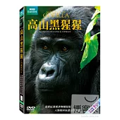高山黑猩猩 DVD