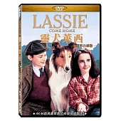 靈犬萊西 伊麗莎白泰勒 DVD