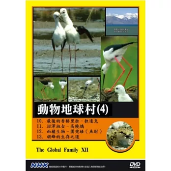 NHK  動物地球村(4) DVD