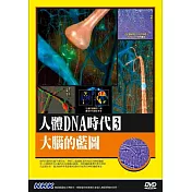 NHK人體DNA時代(3)大腦的藍圖 DVD