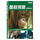 叢林探險 DVD