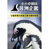 小小卓別林：非洲企鵝 (DVD)