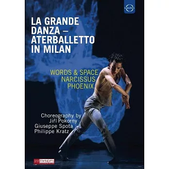 義大利艾德現代芭蕾舞團在米蘭 / 義大利艾德現代芭蕾舞團  歐洲進口盤 (DVD)