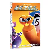 渦輪方程式 (DVD)
