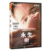 永生樹 DVD