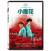 小魔花(DVD)