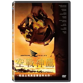 空戰神鷹 DVD