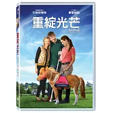 重綻光芒 (DVD)
