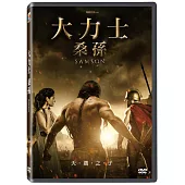 大力士-桑孫DVD