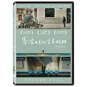 導演先生的完美假期 (DVD)
