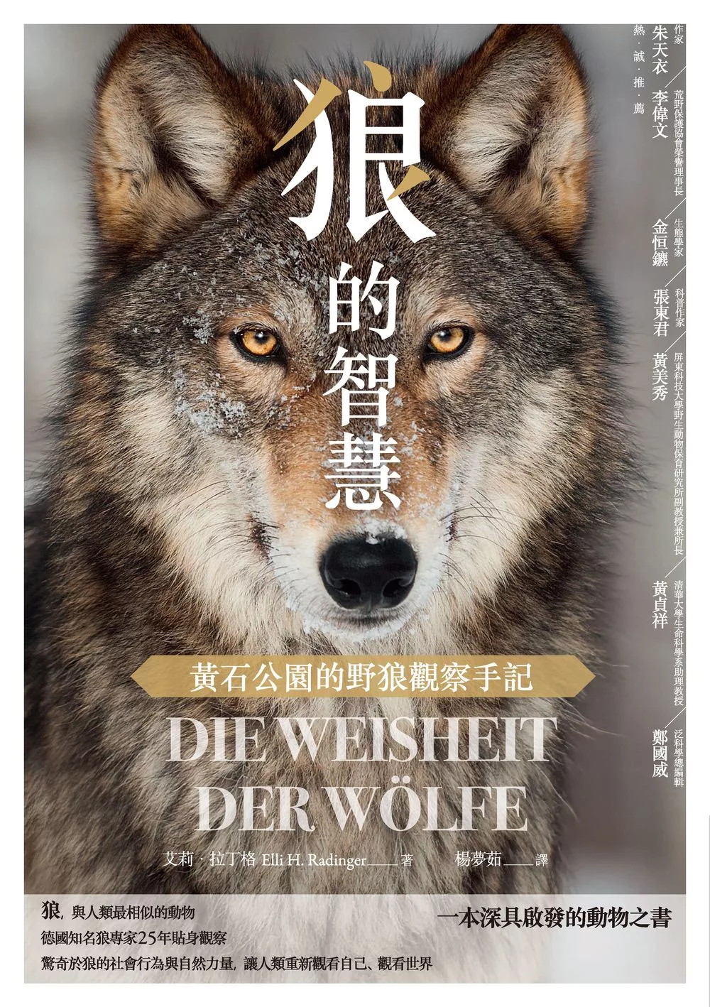 狼的智慧：黃石公園的野狼觀察手記 (電子書)