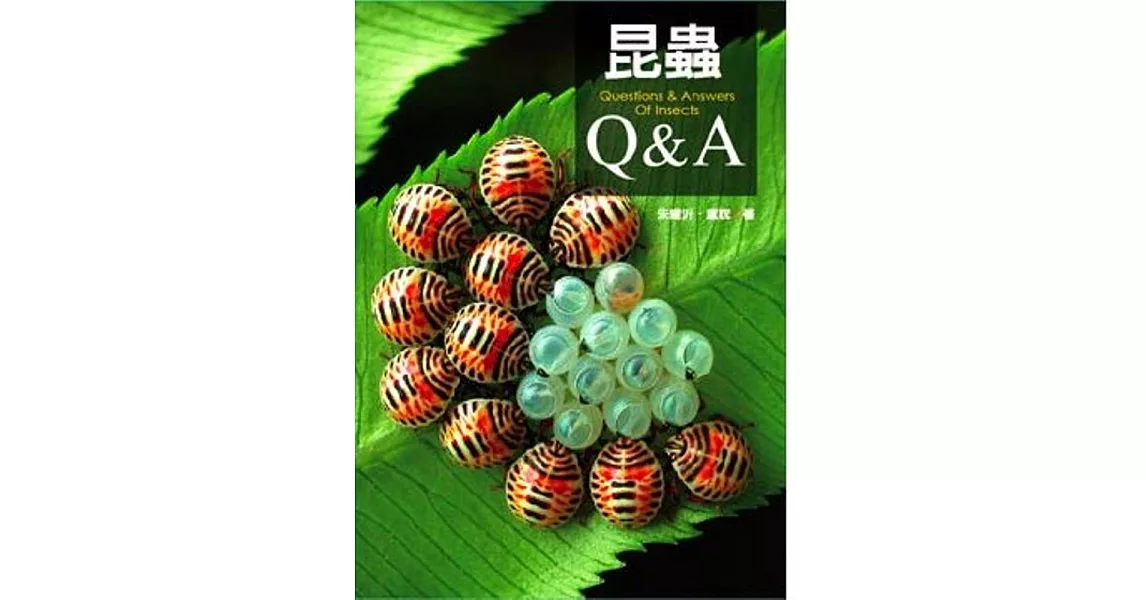 昆蟲Q&A (電子書) | 拾書所