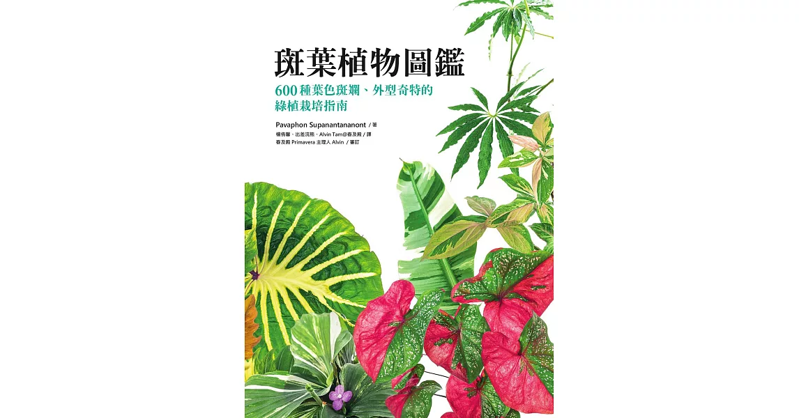 斑葉植物圖鑑：600種葉色斑斕、外型奇特的綠植栽培指南 (電子書) | 拾書所