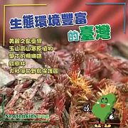 生態環境豐富的臺灣 (影片)