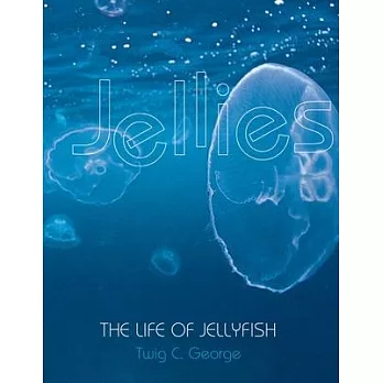 Jellies : the life of jellyfish