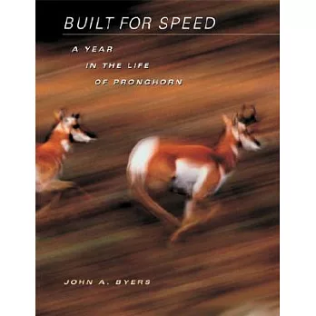 Built for Speed: A Year in the Life of Pronghorn