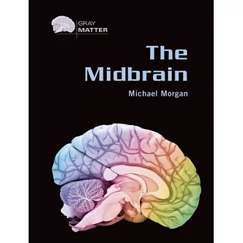 博客來-The Midbrain