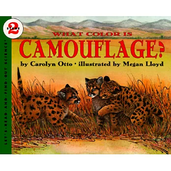 What color is camouflage?