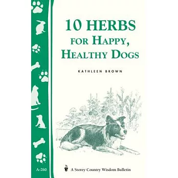 10 Herbs for Happy, Healthy Dogs