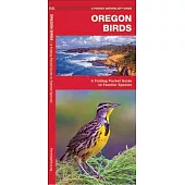 Oregon Birds: A Folding Pocket Guide to Familiar Species