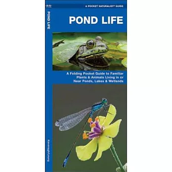 Pond Life: A Folding Pocket Guide to Familiar Plants & Animals Living in or Near Ponds, Lakes & Wetlands